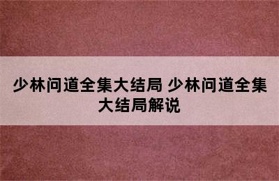 少林问道全集大结局 少林问道全集大结局解说